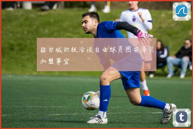 赫尔城积极洽谈自由球员图安泽贝加盟事宜