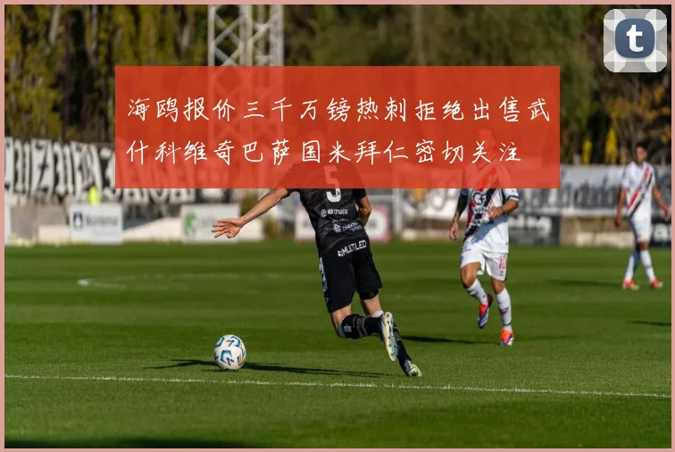 海鸥报价三千万镑热刺拒绝出售武什科维奇巴萨国米拜仁密切关注