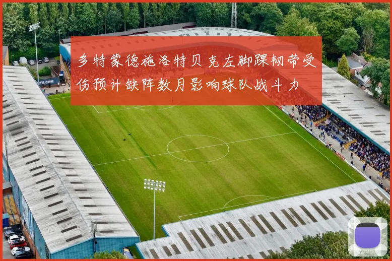 多特蒙德施洛特贝克左脚踝韧带受伤预计缺阵数月影响球队战斗力
