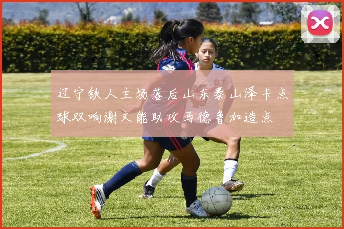 辽宁铁人主场落后山东泰山泽卡点球双响谢文能助攻马德鲁加造点